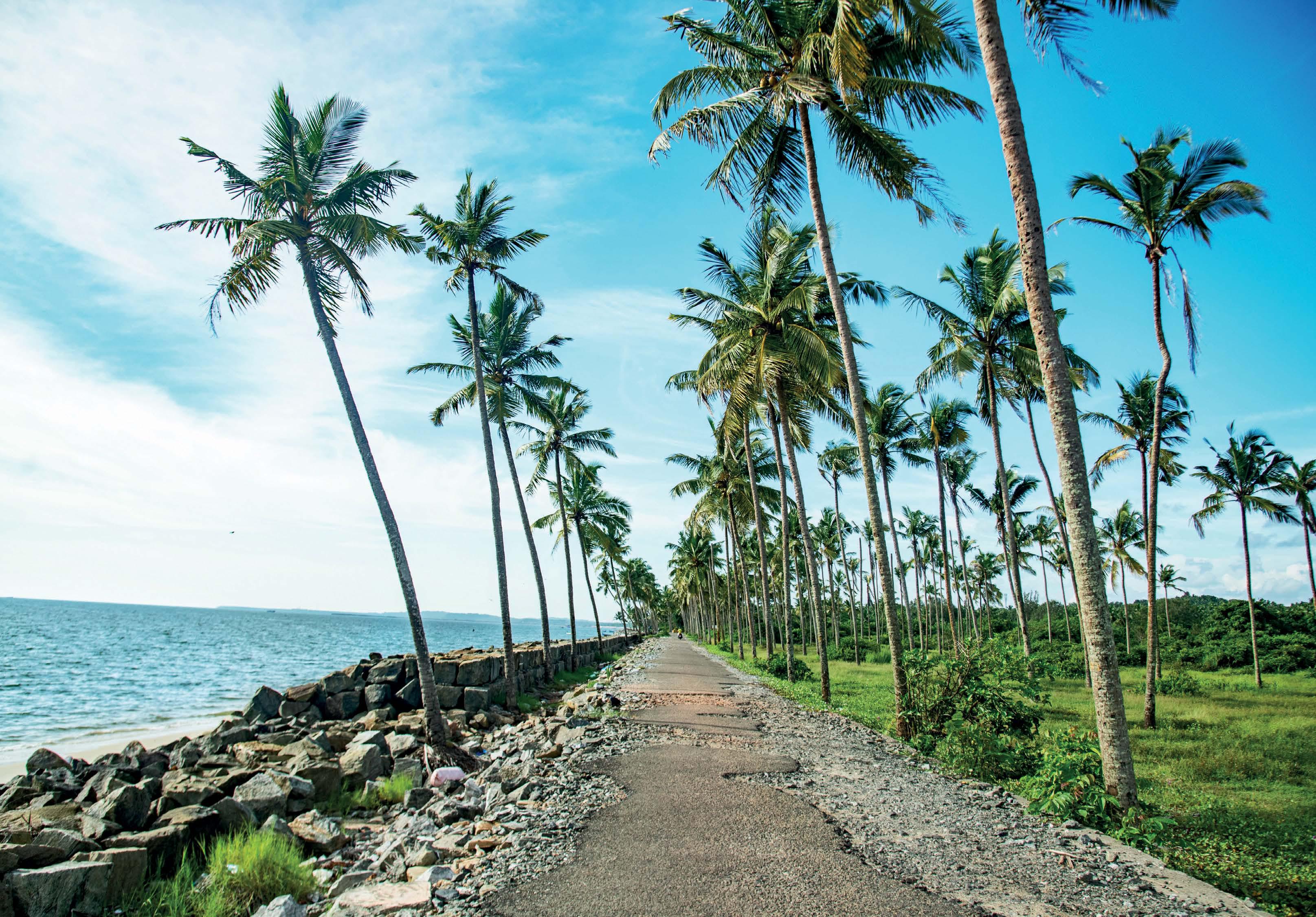 CALICUT CHRONICLES